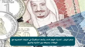 سعر الريال.. تحديث اليوم الأحد يشهد استقرارًا في البنوك المصرية مع فروقات بسيطة بين الشراء والبيع